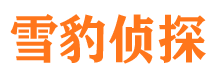 包河寻人公司